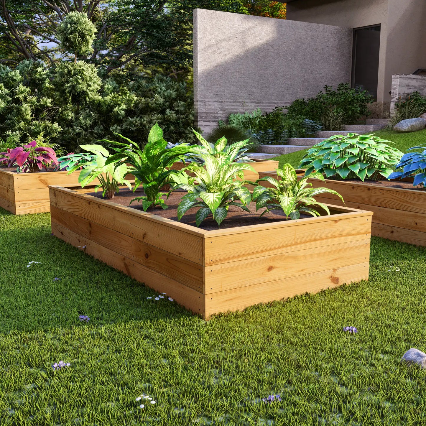 Raised Garden Bed