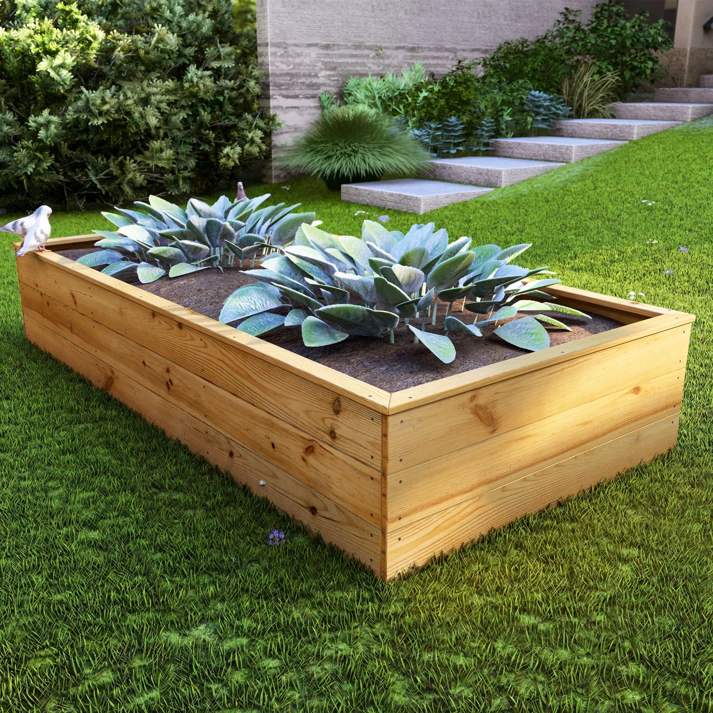 Raised Garden Bed